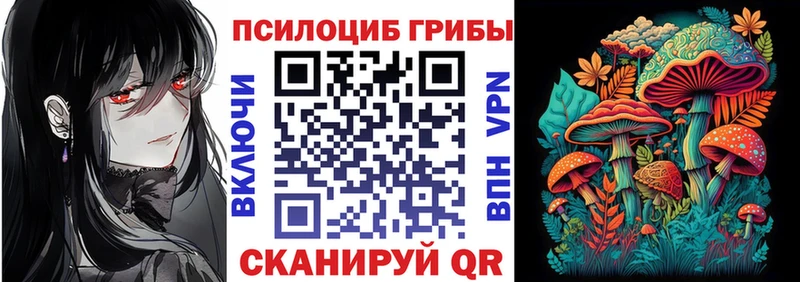 наркота Гаврилов Посад Псилоцибиновые грибы GOLDEN TEACHER